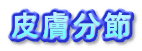皮膚分節(デルマトーム)