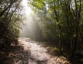 竜王山　水晶谷線