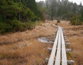 武奈ヶ岳　八雲ヶ原