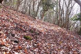 登山道　落ち葉のカーペット