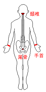 スノーボードで痛める関節