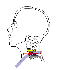 ひもが首に食い込む
