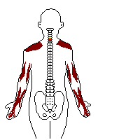 肩や手のしびれ