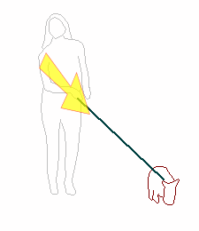 犬と散歩で前下方が痛めやすい