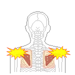 使い捨てカイロ　左右２枚貼り