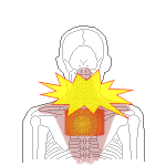 使い捨てカイロ　中央１枚貼り
