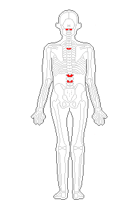 腹筋マシンで痛めた関節