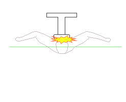 上から見たバタフライ
