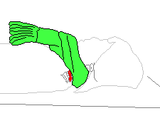 マフラーを巻いた側面