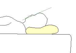 頭部を支える高さは同じ