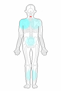 フローリング床で冷える部位