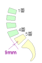 腰の骨4番の9mmすべり