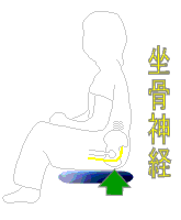 坐骨で体重を支える