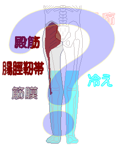 大腰筋・筋区画では、ななさそう