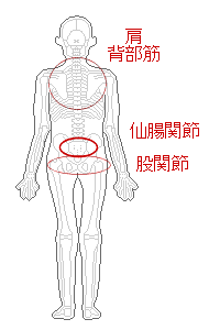 痛めた部位
