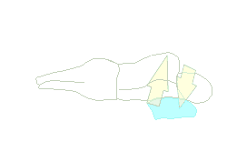 脇まくらで寝てしまう