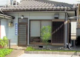 シマトネリコを植えました