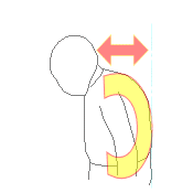 Ｃ字湾曲・円背