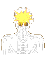 玉で押さえやすい、ぼんのくぼ