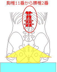 尻もちは胸腰移行部が圧迫骨折する