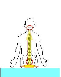 尻もちで尾骨と首の骨1番のズレ