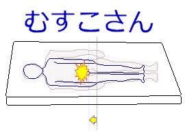 成人と中学生の腰の位置