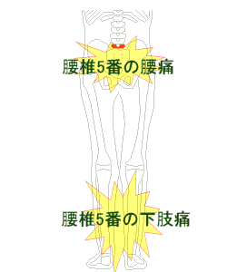腰・足・膝の不調