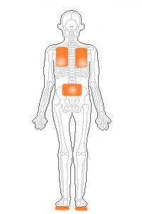 使い捨てカイロを、貼られる位置