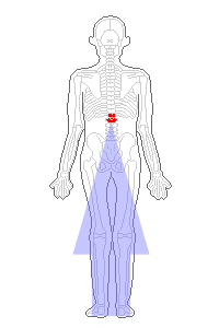 頚椎1番、胸椎12番、腰椎1番