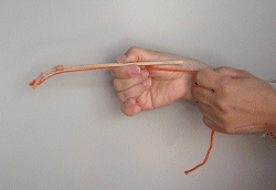 腱鞘の模型を動かしてみました