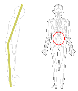 腰を調整しても腰が伸びきらない