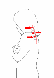 寒さで首を丸める