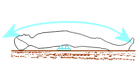 四つ玉で背中を反らした状態