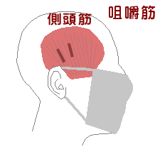 咀嚼筋とマスク