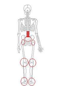 足や腰部の関節を調整