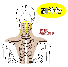 副神経