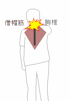 僧帽筋、背中の骨、首が回らない