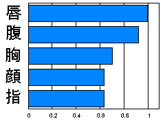 冷点は、唇、お腹に多い