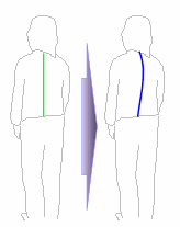 美容師さんの背骨の変化
