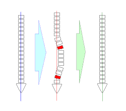 健康寝具を外すとズレが現れる