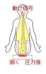 硬いところに座る