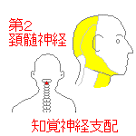 第2頚髄神経