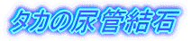 タカの尿管結石