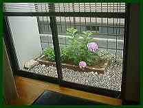 あじさいの花壇