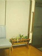 ハイドロ・プランター